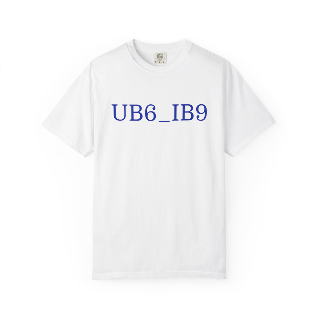 Graphic T-Shirt — 'UB6_IB9' Minimal Code Tee with QR Back